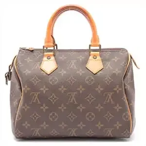 Louis Vuitton Monogram Speedy 25